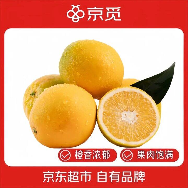 京觅 江西赣南脐橙
