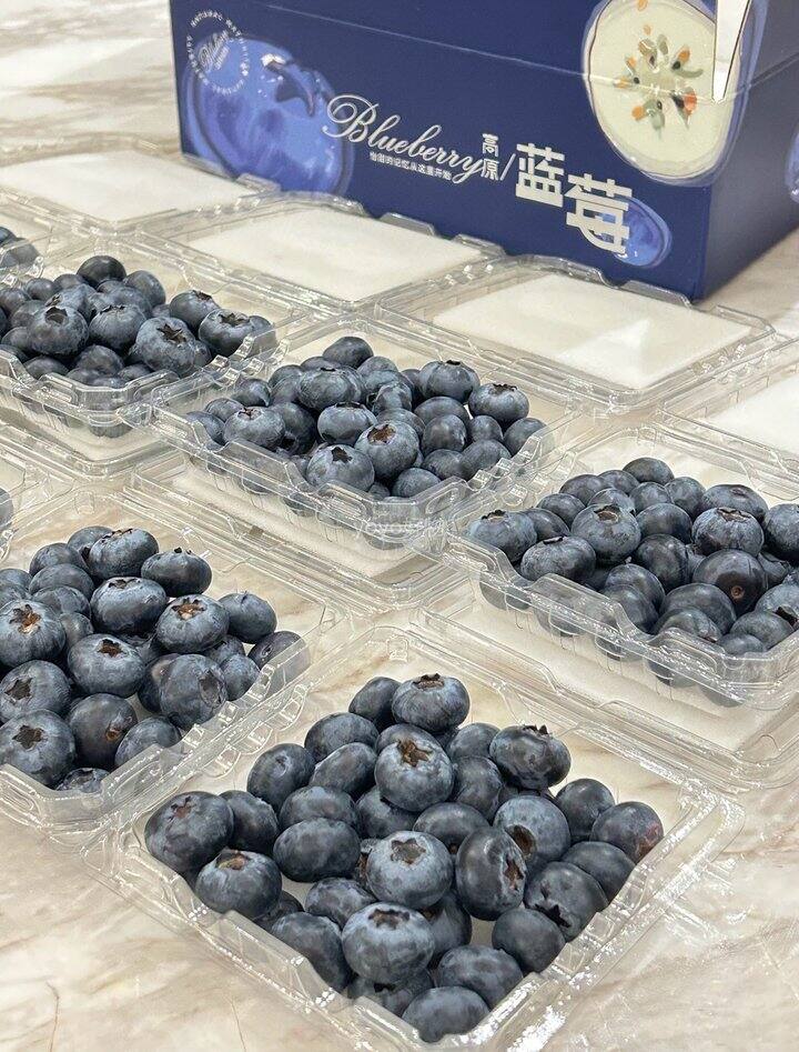 抚仙湖馥郁花香L25蓝莓回归！💰10+/盒起