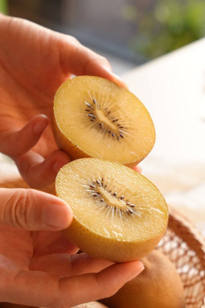 滇猴王 | 黄心猕猴桃！💰2+