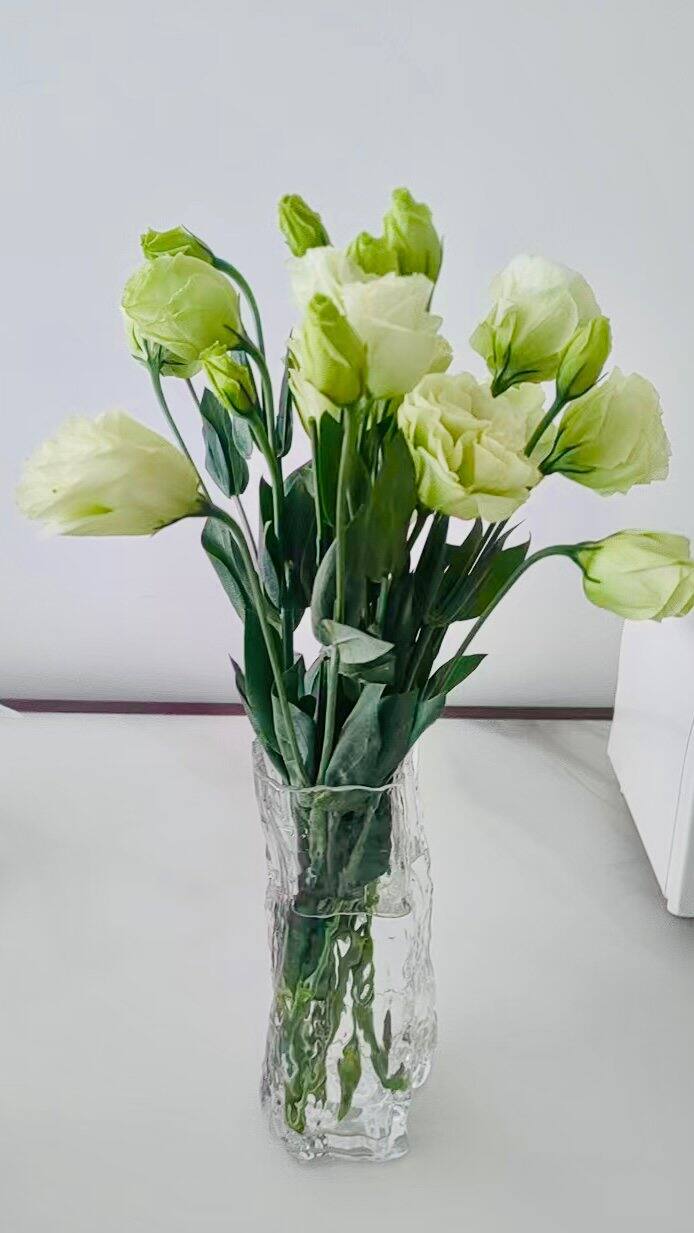 无刺玫瑰洋桔梗鲜切花送女友（20-30个花苞）2 随机色