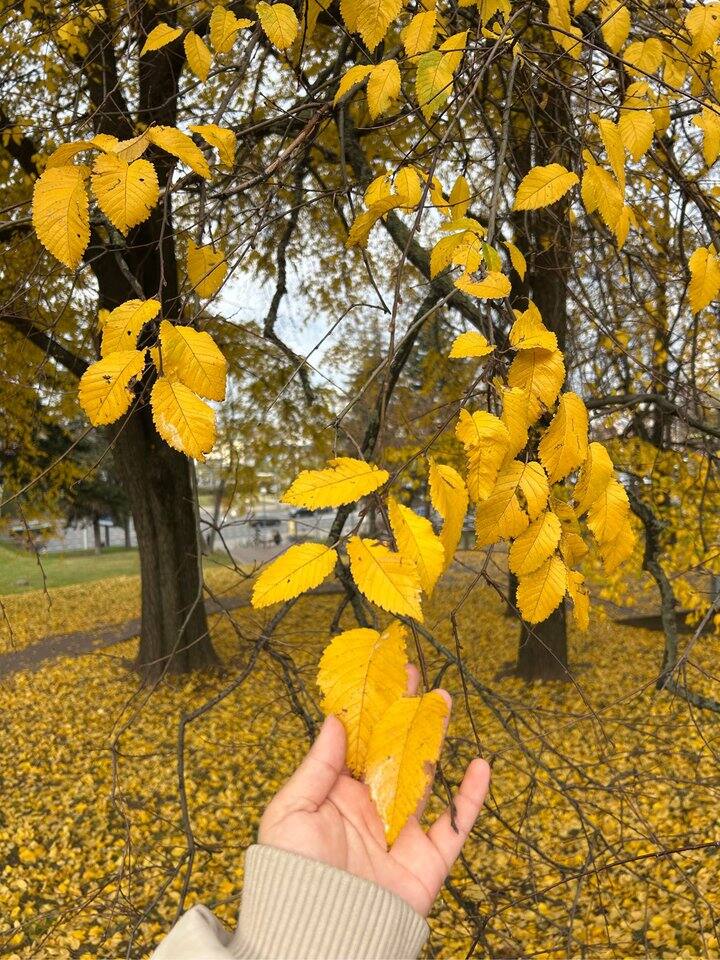 求路友解惑！！！感觉人一直都是飘的
