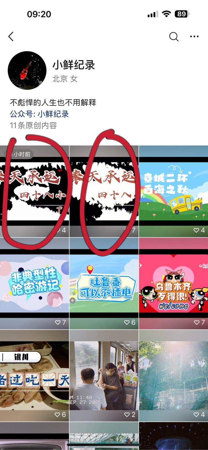 上周末刷了一下沈阳