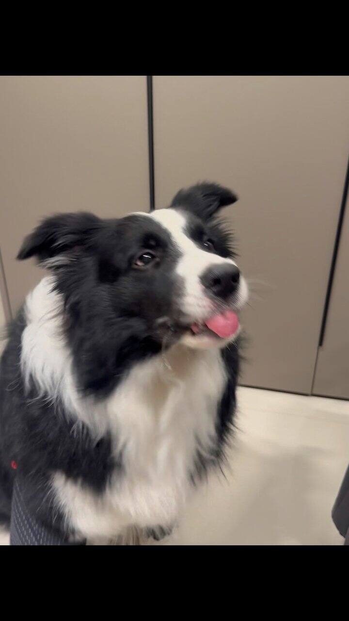 今年双十一是真的没有纸吗？