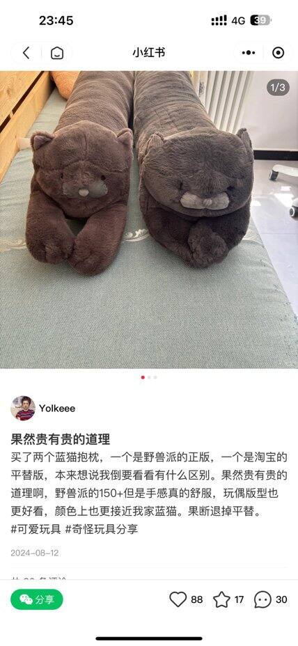 野兽派长条抱枕丨87.5