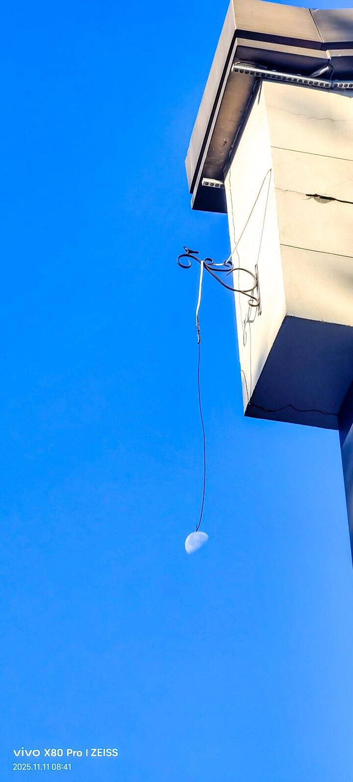 ［随手拍］钓月亮