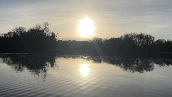 大家去京东搜支付免单呀