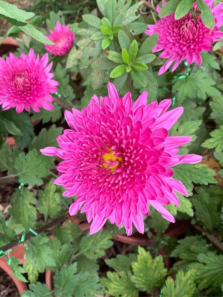 今天刚开的权益～转