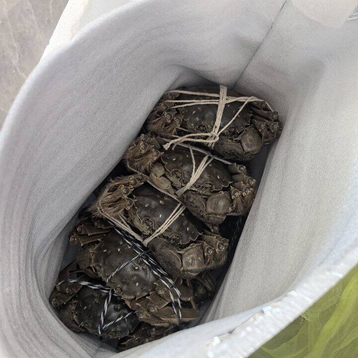 亲手扎螃蟹，打包快递