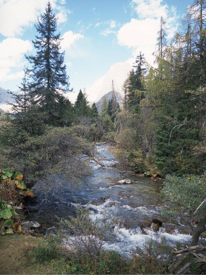 🏔️ 四姑娘山·双桥沟