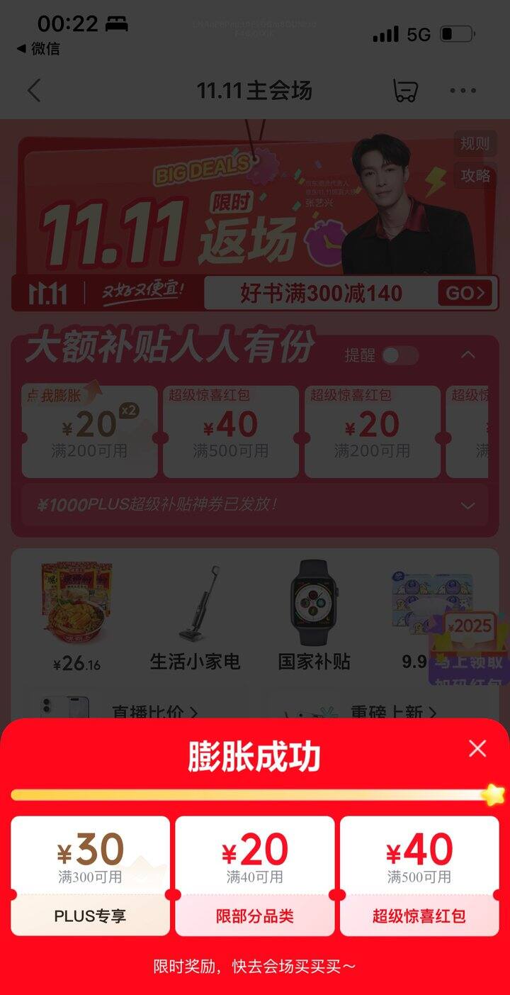 300-30京东券