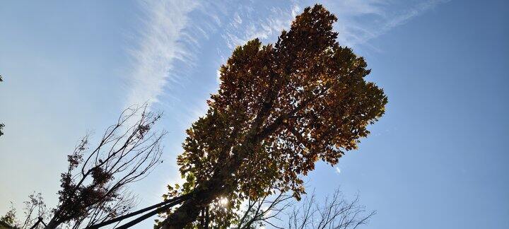 晒晒秋天的日常