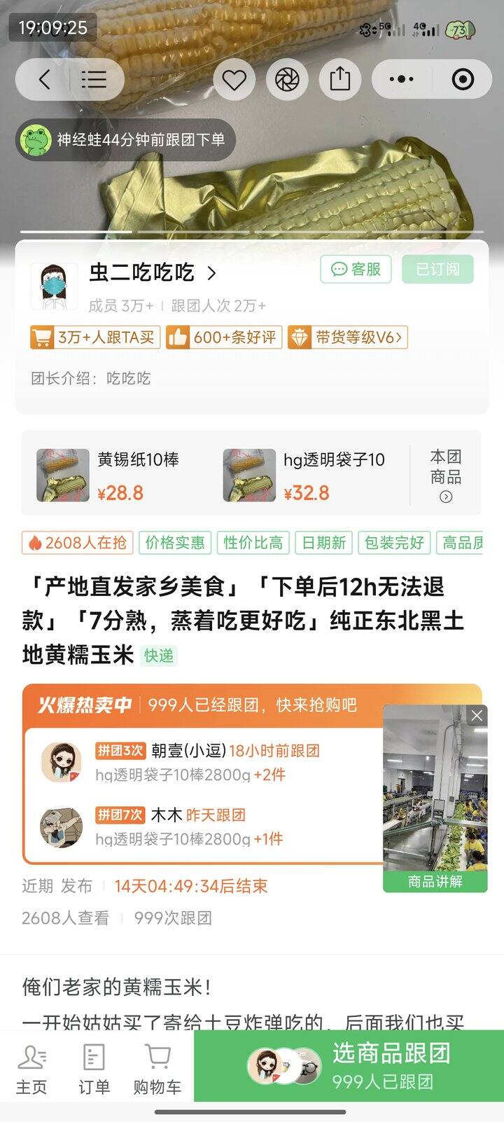 年度最爱玉米🌽