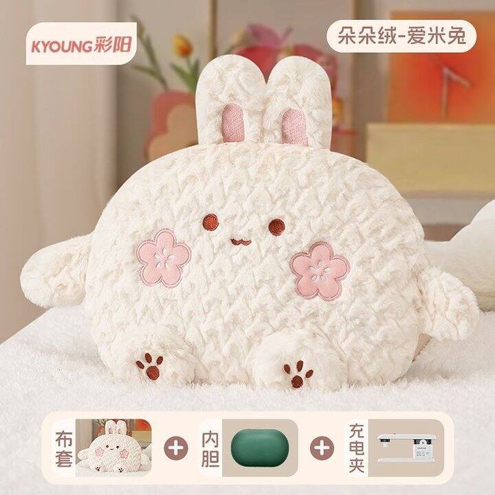 彩阳电热水袋丨23.88