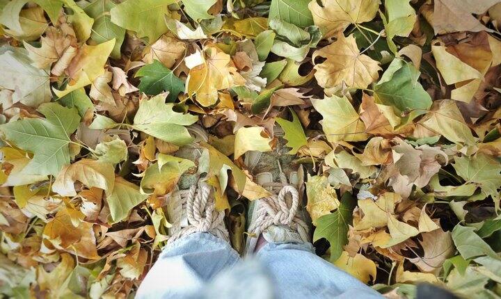 ［随手拍］瑟瑟发抖