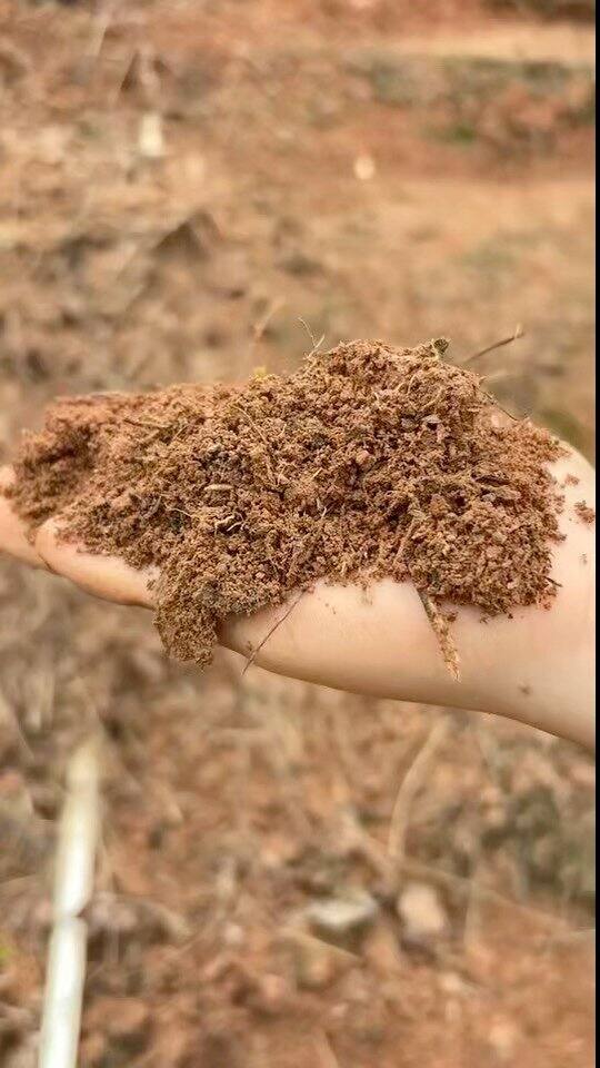 我的十年卖橙之旅