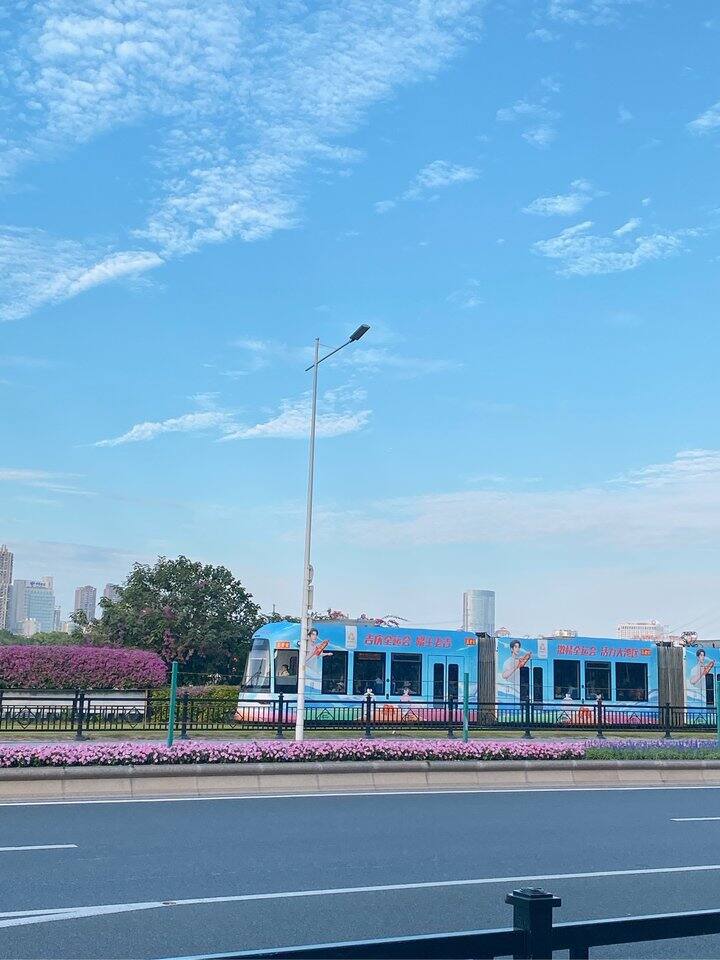 拍照｜广州今日📷