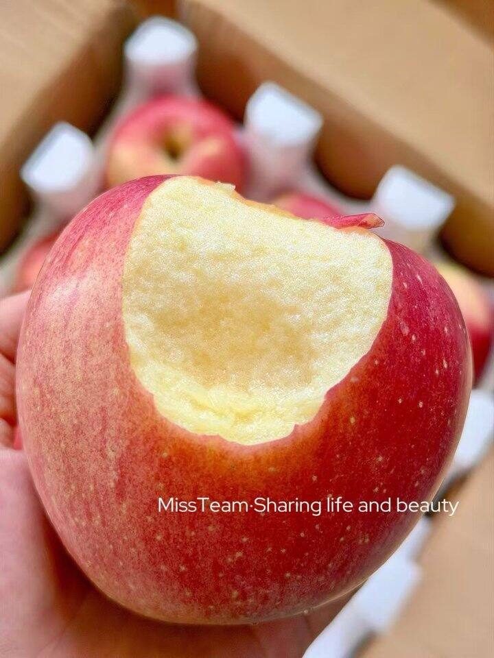 正宗山东产红富士！💰2+