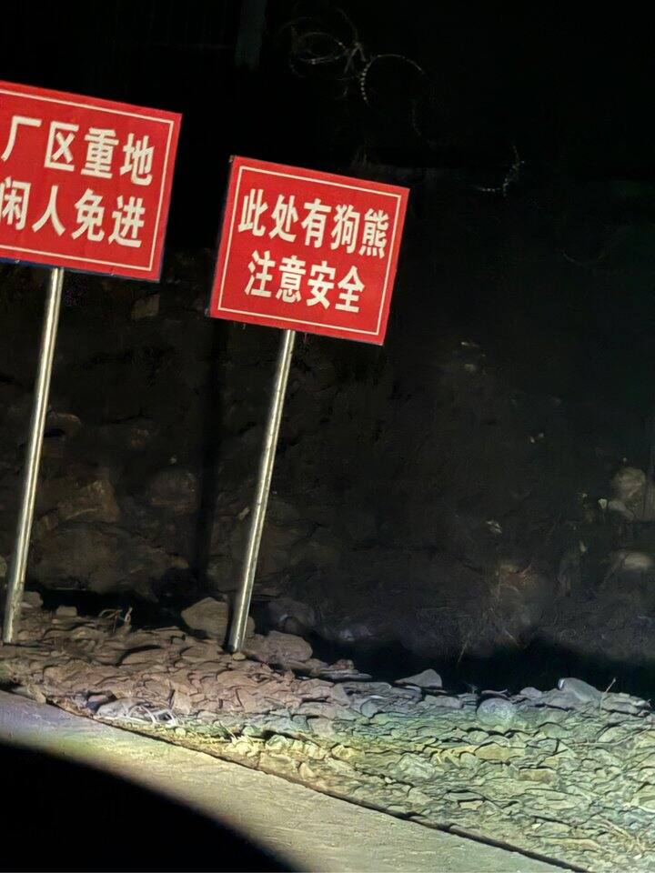 去看狗熊没看到，但是看到了星空！