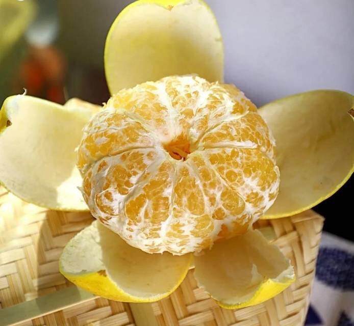 【葡萄柚】限量抢购19.9元5斤/箱，再赠送一个榨汁器