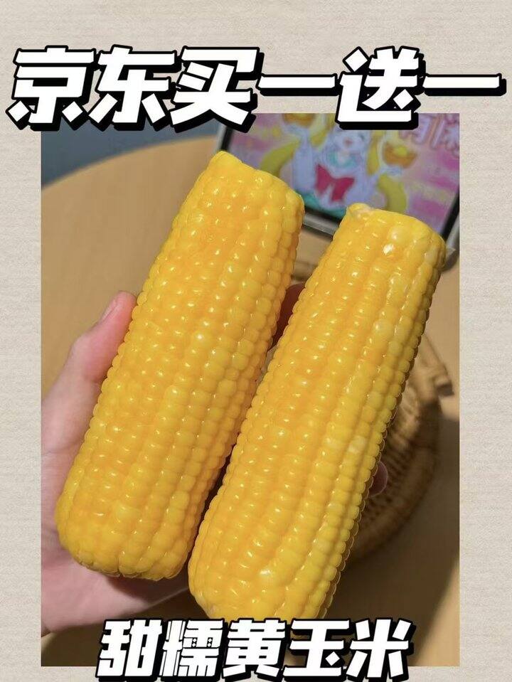 12.9💰东北甜糯玉米 共8棒