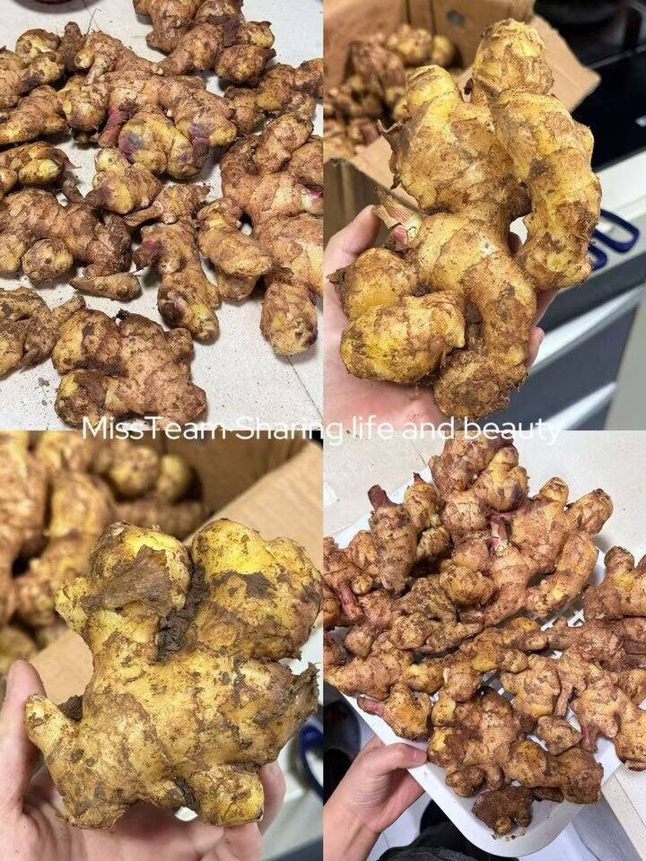 厨房佐料合集！