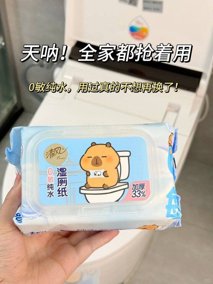 清风卡皮巴拉湿厕纸💰3.6/包