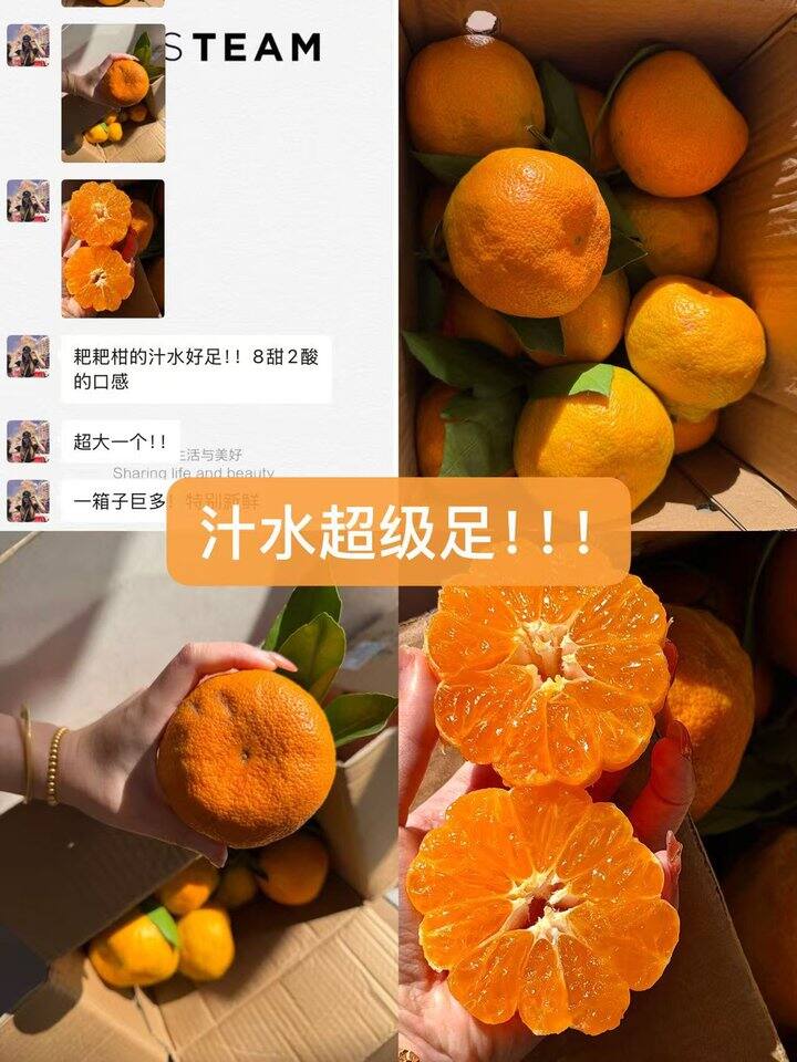 王炸耙耙柑返场！💰1+