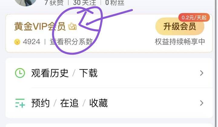 有爱奇艺会员v7吗？