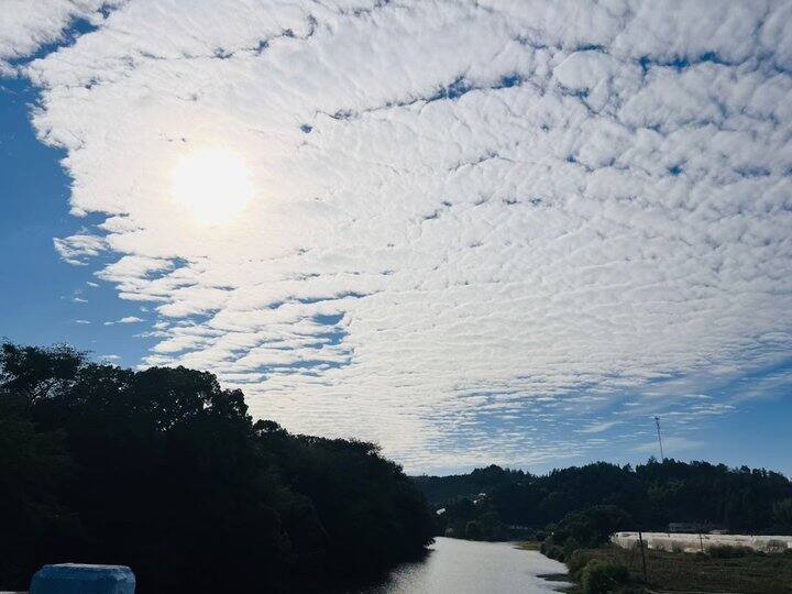 『赣南脐橙』十周年店庆活动中