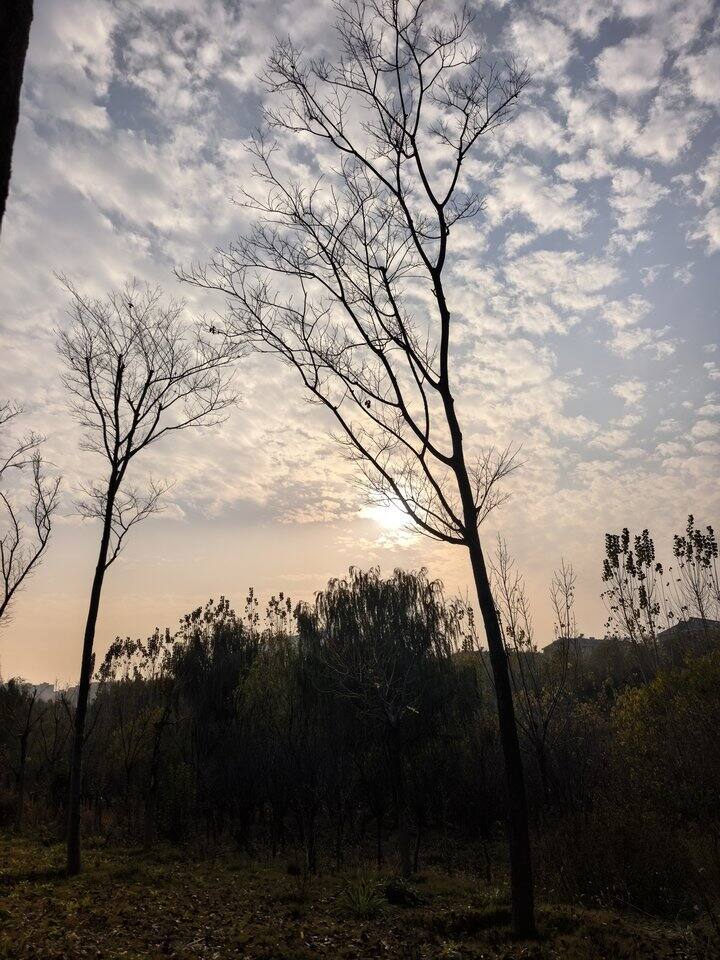 最近连滚带爬的生活