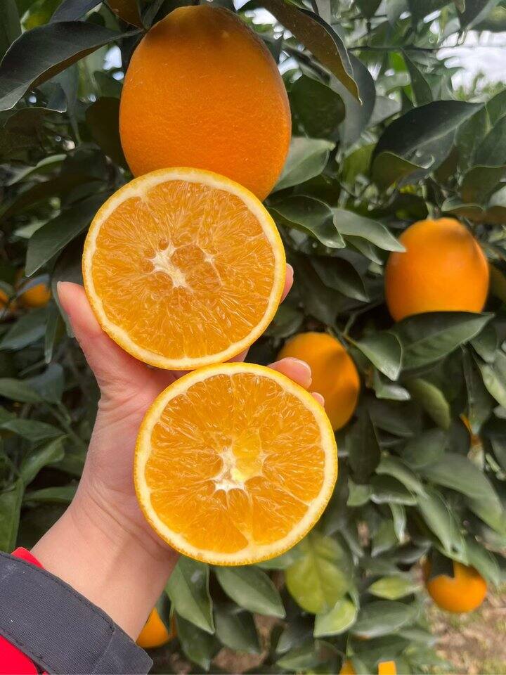 十周年店庆活动还有一天