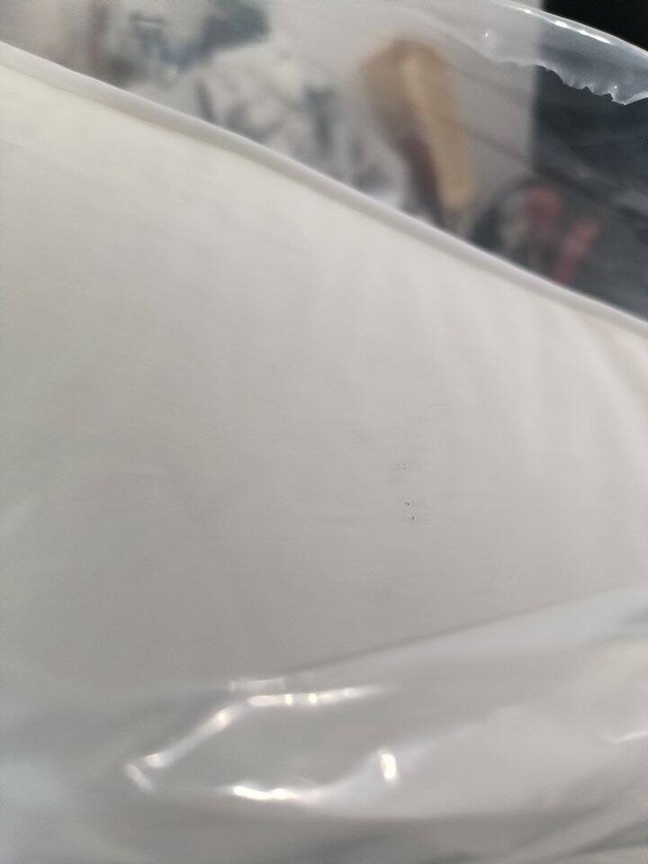 路口热度很高的暗广章鱼家枕头污渍