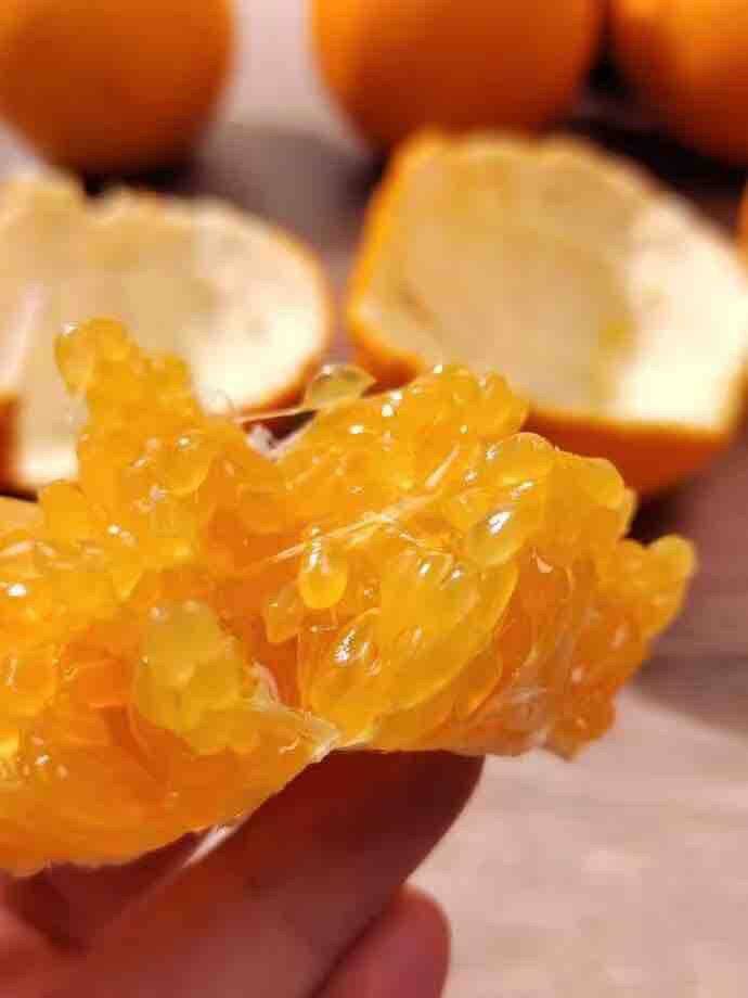 四川高山春见耙耙柑！💰1+/斤