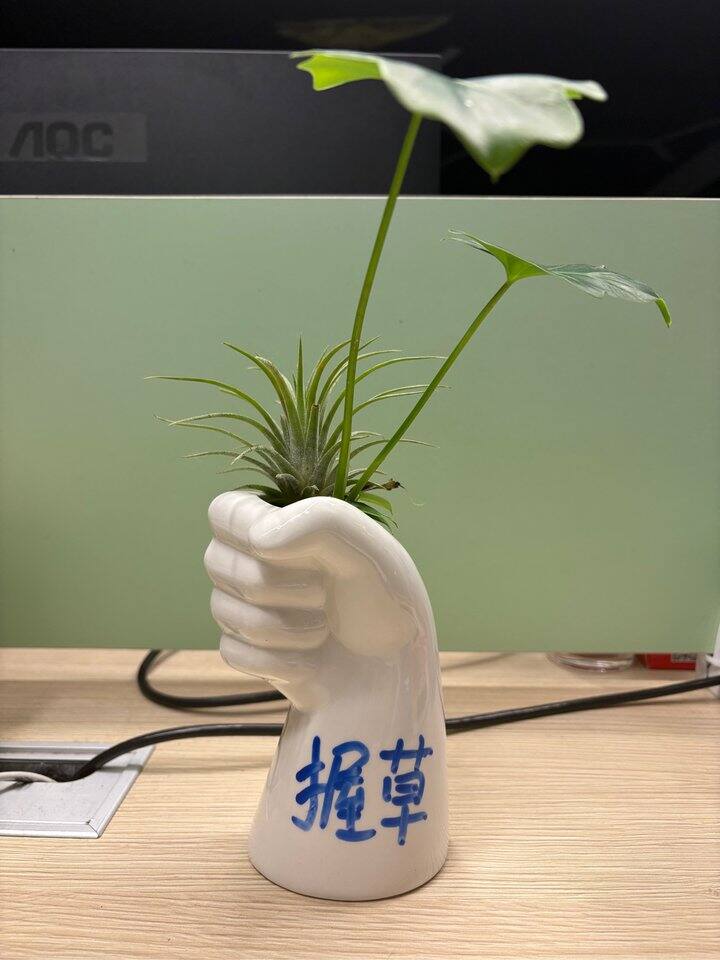 上班普通，工位就不普通