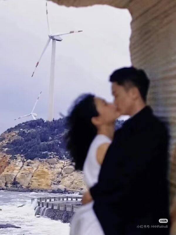 小说合集323  高干文200篇