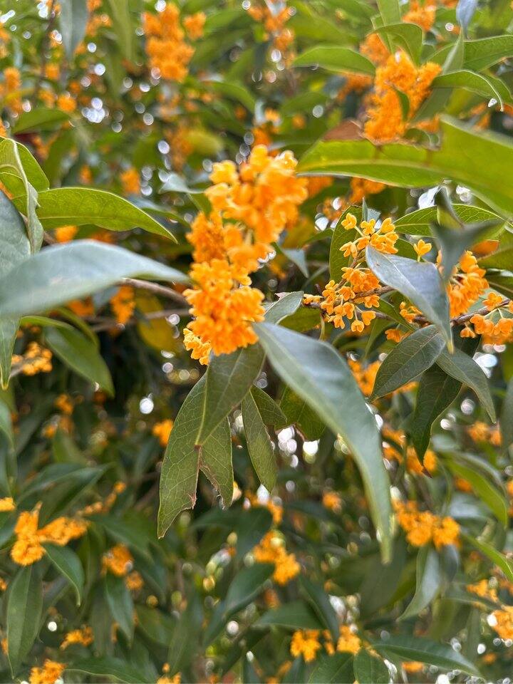 联盟互买，拍下留言必回。下单后请勿提前确认收货，感谢！