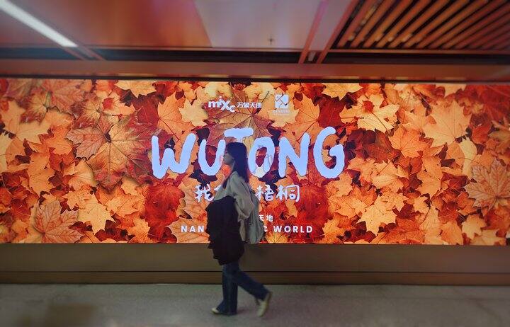 ［随手拍］最近的碎片