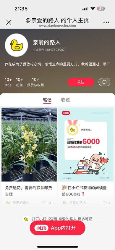 兰花付邮免费送，会养花的姐妹看过来