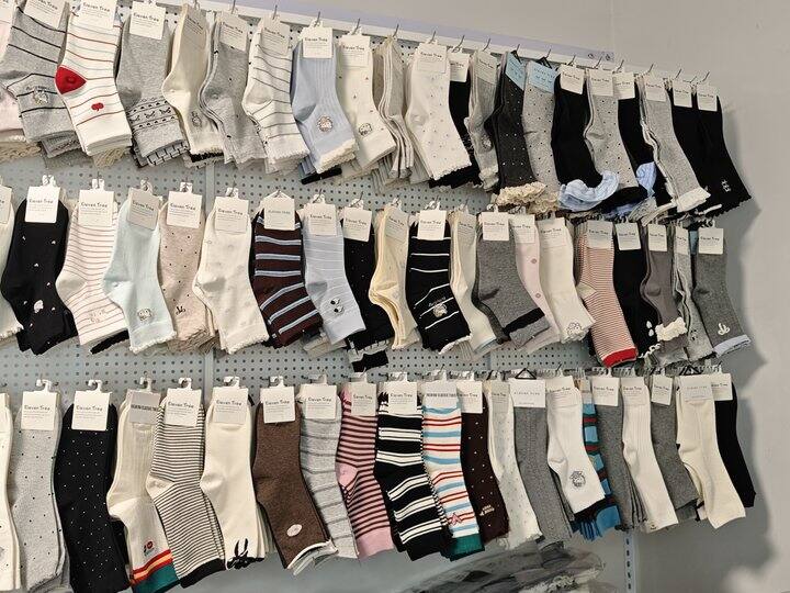 鸽王终于要直播了