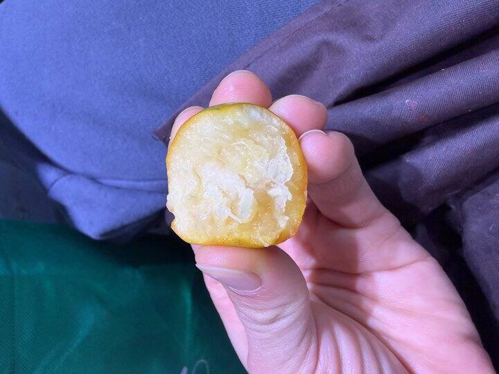 有人把金柑价格打下来吗