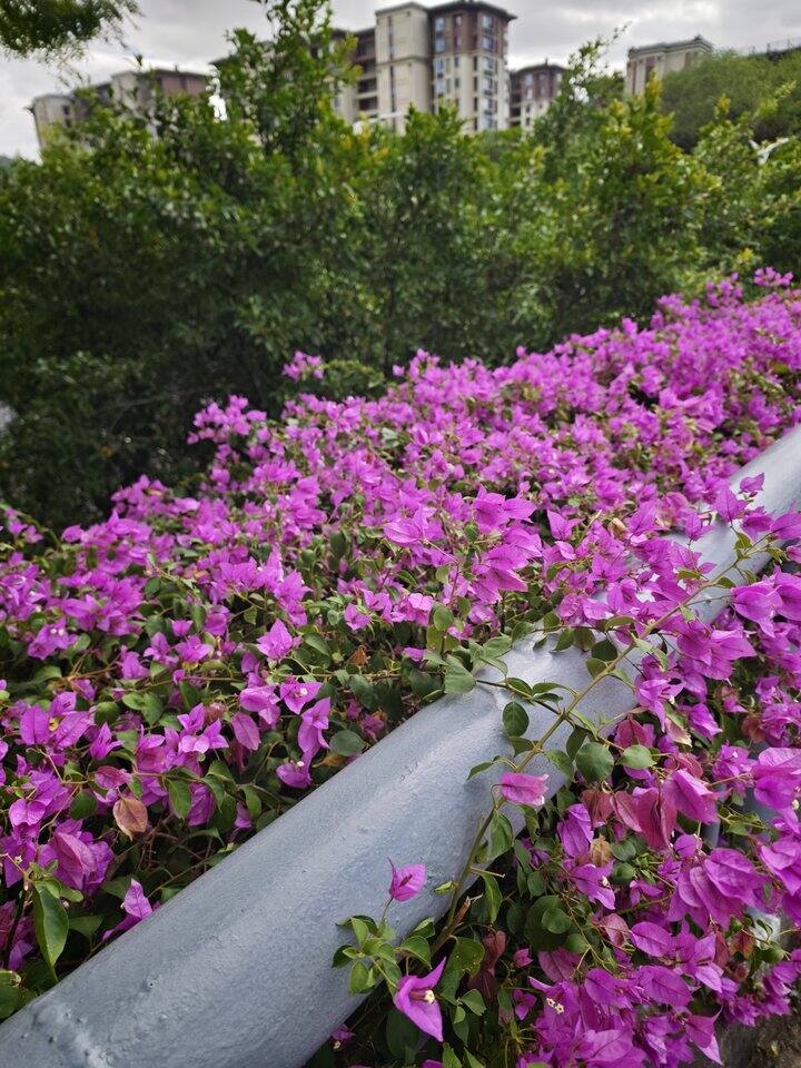 世界很糟，但是值得你来一趟