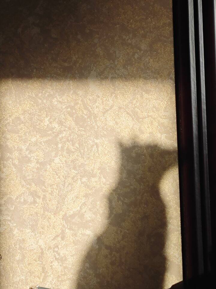 人类的悲欢并不相通