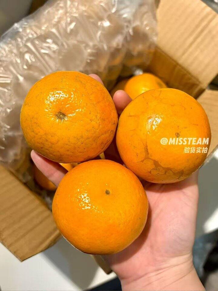 武鸣沃柑🍊！💰1+