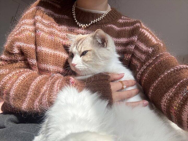 阳光是最好的滤镜