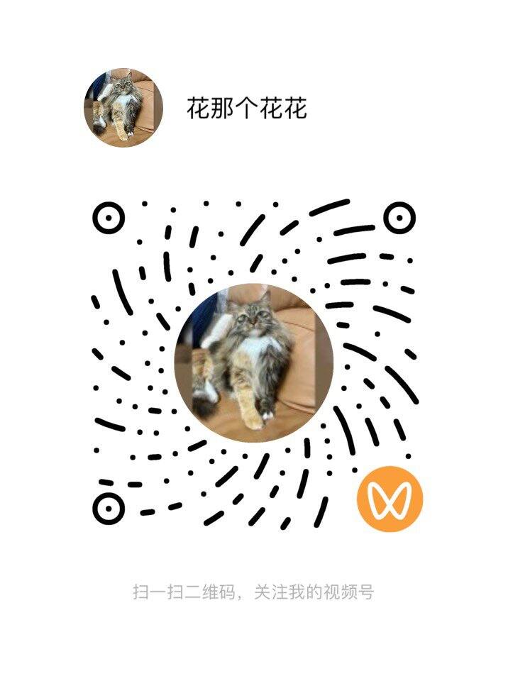 每周二四六晚8点半