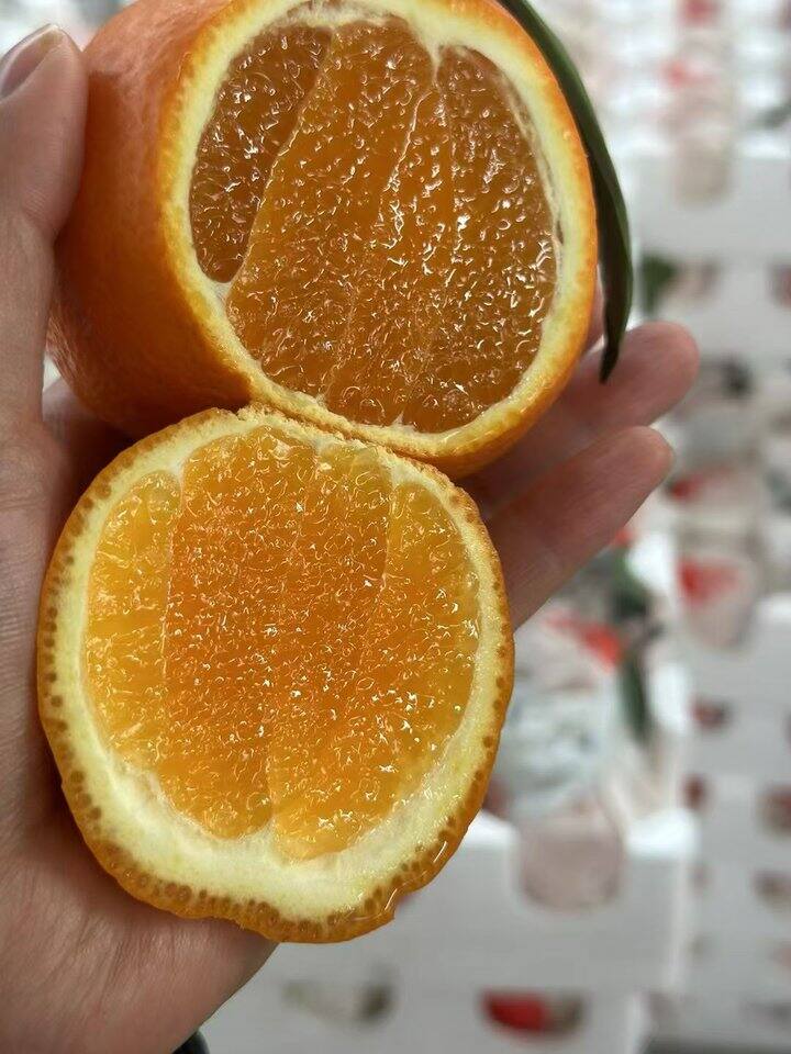 爱媛果冻橙活动八斤中果36