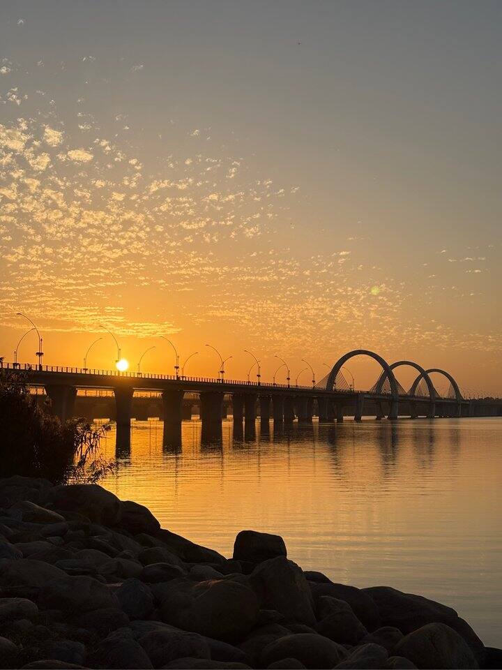 而今才道当时错