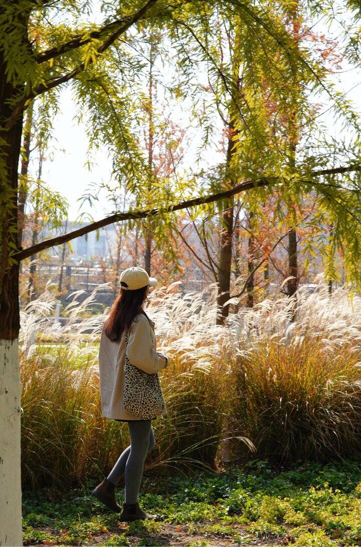 早呀，12月充满期待❤️