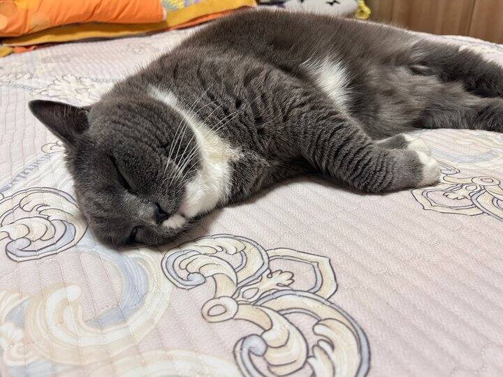 旅行碎思：在躺平与特种兵之间，选择当下的热烈