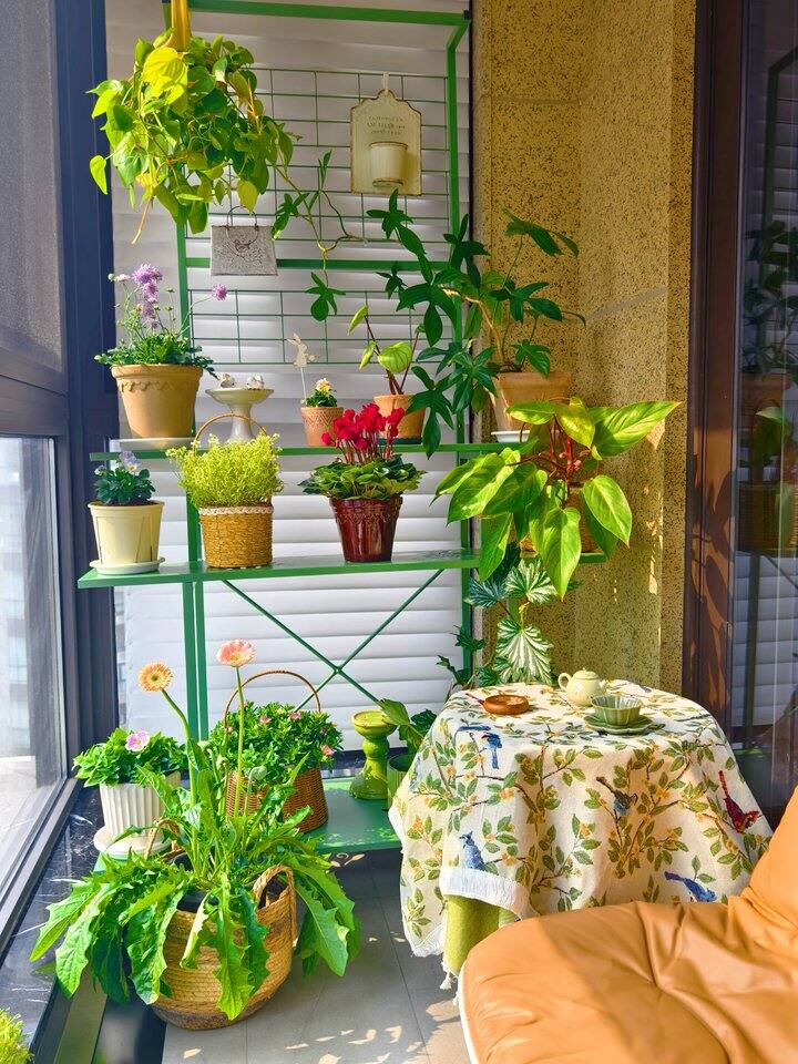 帅汤的阳台改造工程